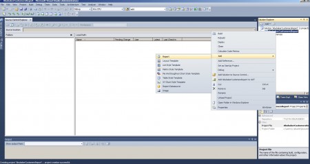 Add report to the project